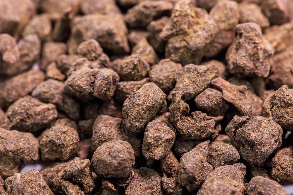 oolong-GF.jpg