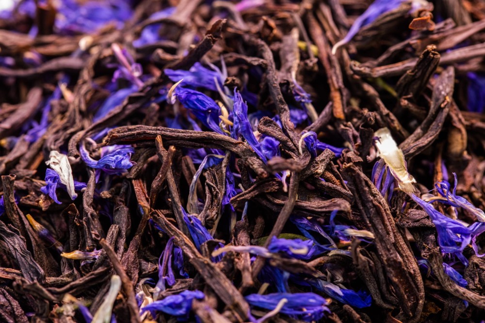 earl-grey-sorbona.jpg
