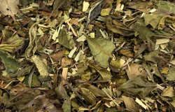 Herbata biała Lemon Mirage