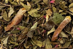 Herbata biała Aloha