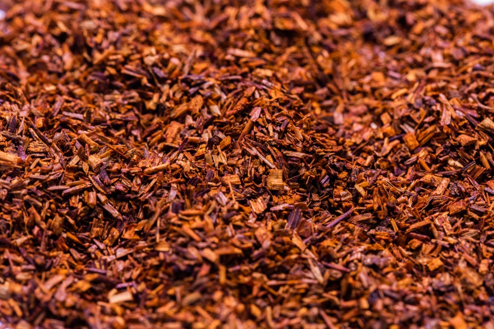 rooibos.jpg
