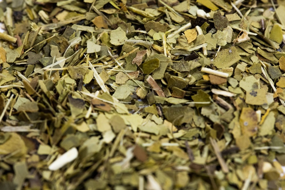 yerba.mate.green.jpg
